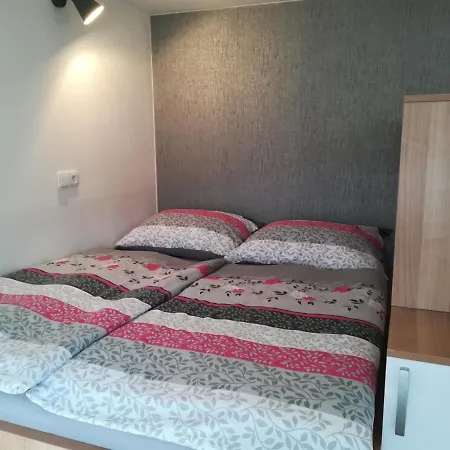 Apartman Runway 16 K Pronajmu - Loučná nad Desnou