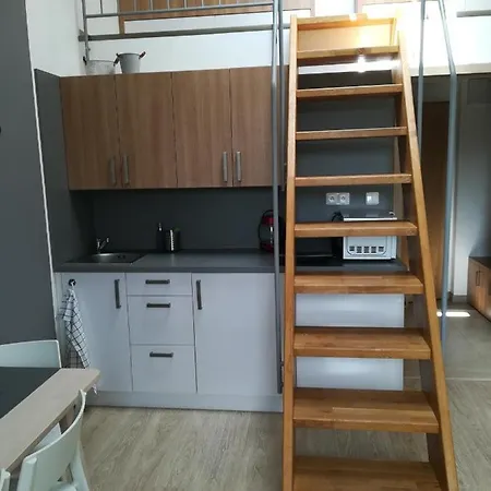 Apartman Runway 16 K Pronajmu - Διαμέρισμα