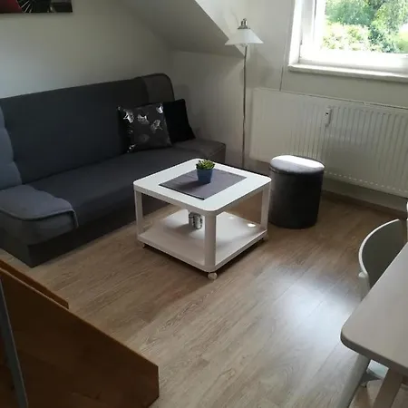Apartman Runway 16 K Pronajmu - Διαμέρισμα Loučná nad Desnou